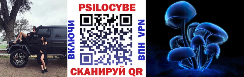 Псилоцибиновые грибы Psilocybine cubensis  кракен ONION  shop как зайти  наркотики  Медынь 