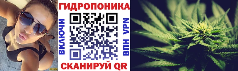 наркота  Медынь  Бошки марихуана SATIVA & INDICA 